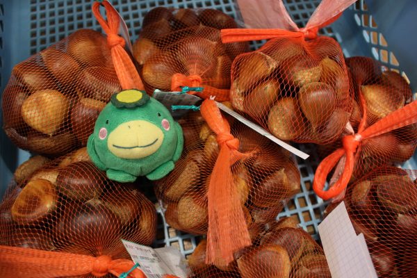 【農産物情報】久留米産の栗の出荷が始まりました！