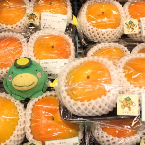 【農産物情報】西村柿・早秋柿の出荷が始まりました!