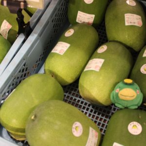 【農産物情報】とうがんの出荷が増えてきました!