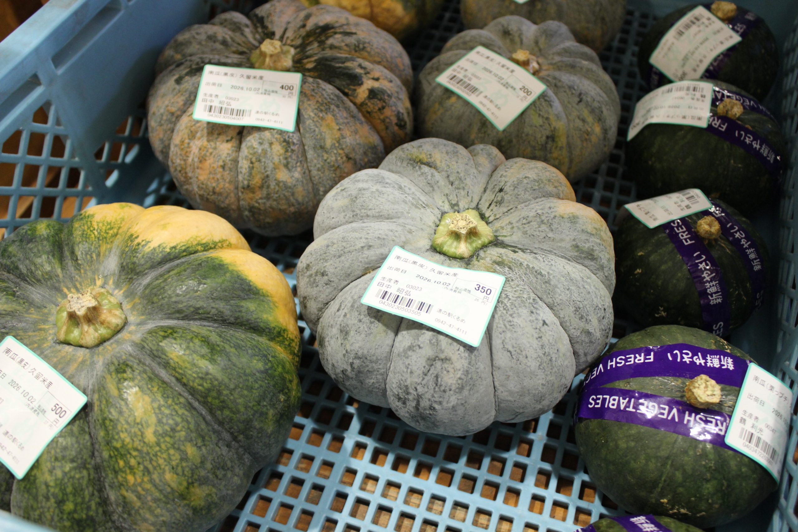 【農産物情報】緑黄色野菜!かぼちゃの出荷が好調です!