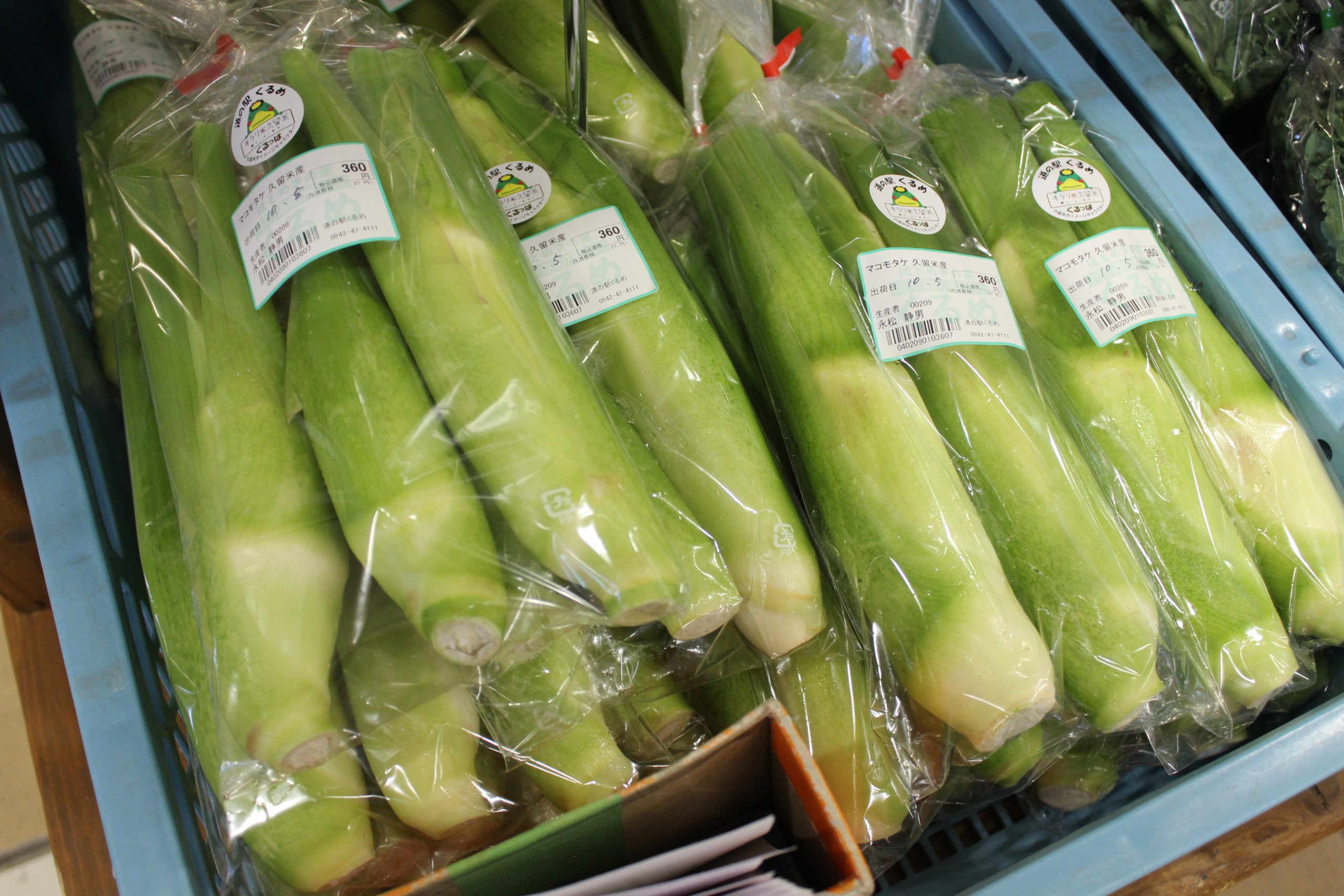 【農産物情報】マコモタケの出荷が始まりました★