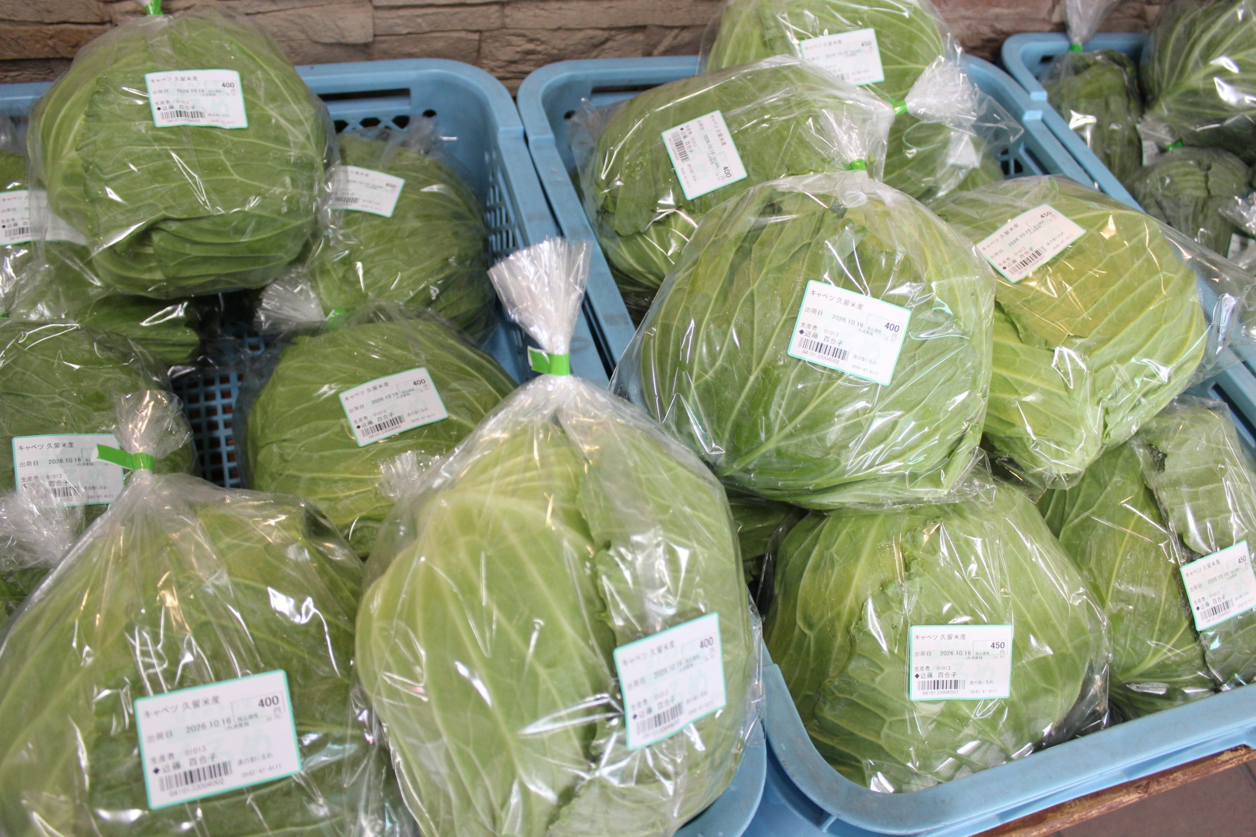 【農産物情報】10/16の出荷状況をお知らせします★